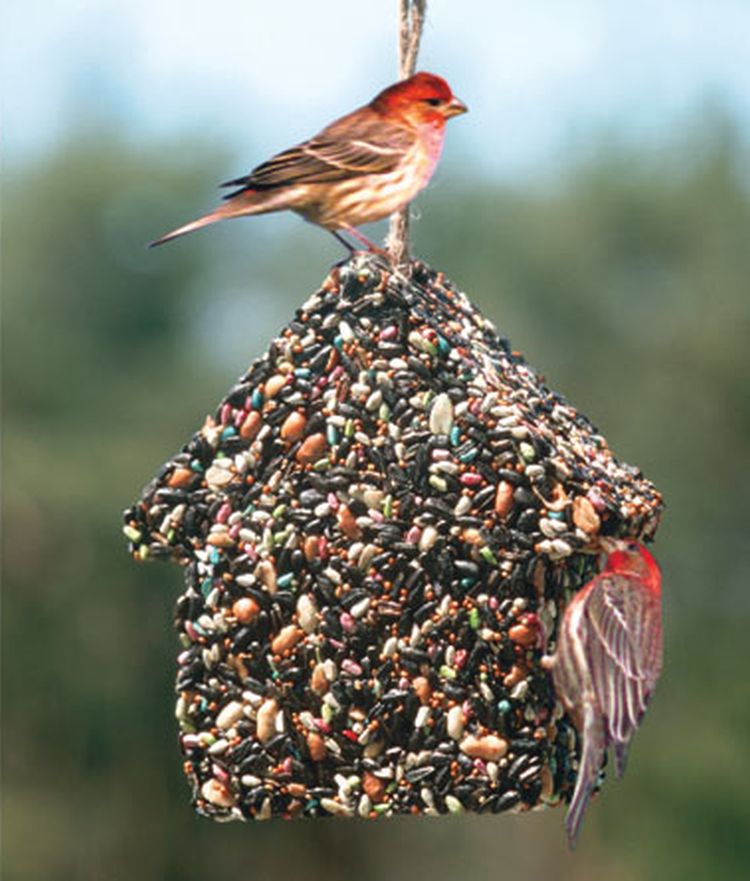 Birdie Chalet 1.75 lb. Set of 2
